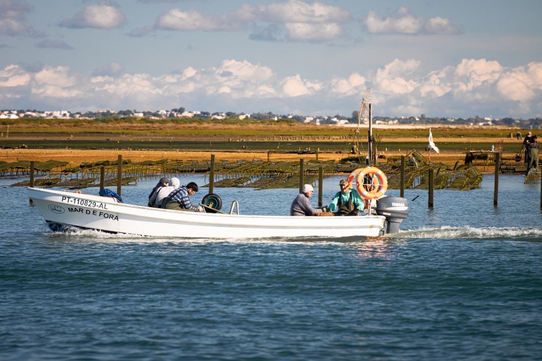 Barco pequeno com passageiros num canal da ria