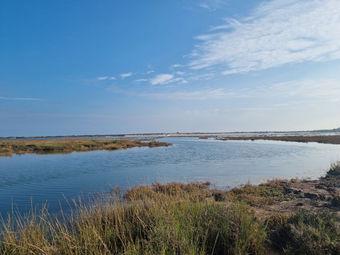 Sapal da ria com vegetação baixa e céu azul